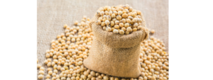 Soya Meal