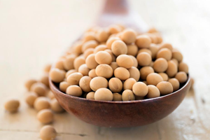 Soya Meal