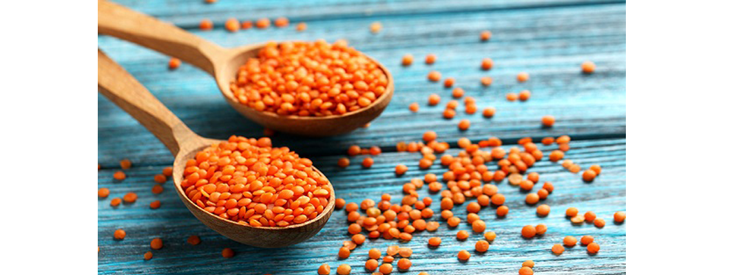 NUTRITION red lentils