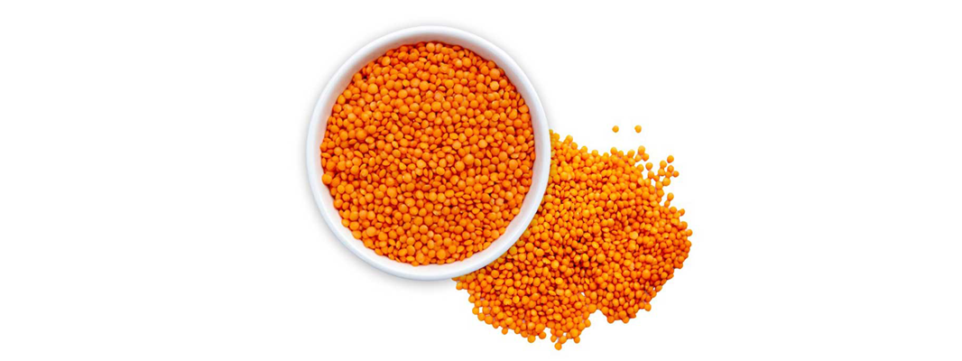 dal