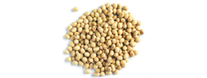 Soya Meal