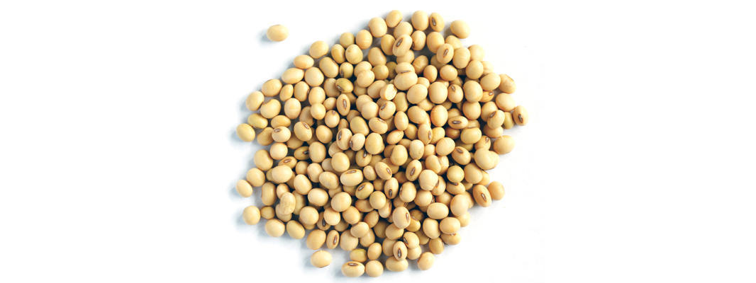 Soya Meal